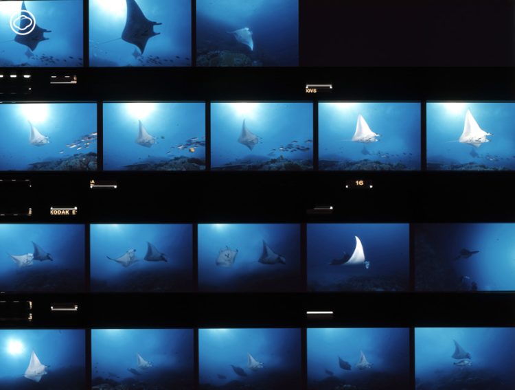 readthecloud's tweet image. คอลัมน์ #LifeonEarth คราวนี้ นัท สุมนเตมีย์ นำเอากล้องฟิล์มอย่าง #LargeFormat ออกมาโลดเล่นในรอบ 20 ปี ที่น้ำตกเขาสอยดาวตลอด 2 วัน 2 คืน แล้วเขาได้เรียนรู้อะไรบ้าง ติดตามได้ใน readthecloud.co/precious-shutt…