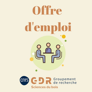 #jobalert #CDD #guyane Reconnaissance botanique et diversité technologique des bois des mahos rouges et noirs de Guyane candidature ouverte jusqu'au 20/12/24 tinyurl.com/yfs9ybvw <a href="/JulieBossu/">Julie Bossu, CNRS - UMR EcoFoG, Guyane</a>