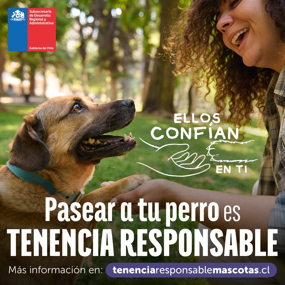 MascotaGob's tweet photo. #EllosConfíanEnTi Los paseos diarios no solo son clave para la salud de tu mascota, también fortalecen ese vínculo único con tu peludín 🐶🐾😺.

Descubre más sobre tenencia responsable en 👉 https://t.co/be1HplvAvD

#TenenciaResponsable #TenenciaResponsableDeMascotas https://t.co/Wy1bMNyYnr