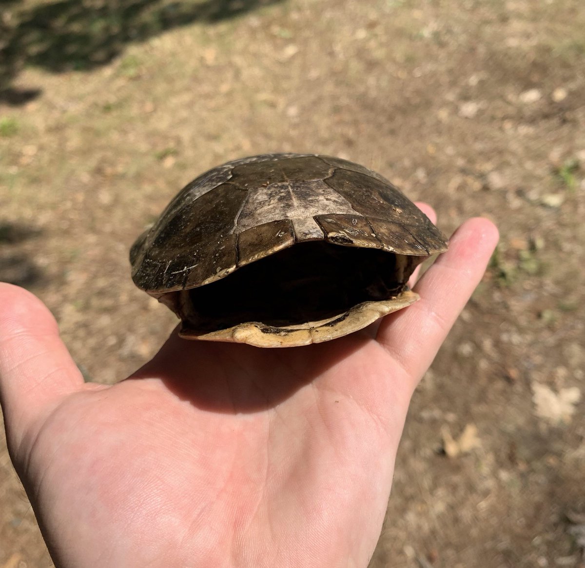 diosable's tweet image. COD: Black Ops 6 is the biggest shell of a game we’ve ever received as customers. They removed the option to turn off SBMM, poor maps, 3 total snipers, play of the game, challenge exploits, the list is too big to continue...

I rank BO6 below COD: Infinite Warfare from 2016 😬