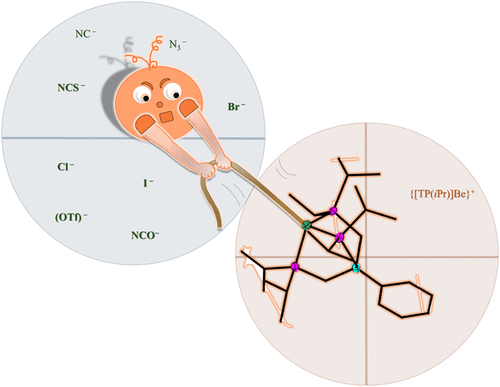 bhkenlo's tweet photo. Neutral Phosphorus-Based Beryllium Scorpionate Complexes as Spectroscopic Probes for Base Strength and Electron Donation | Inorganic Chemistry https://t.co/iMM0oNOtQj Buchner and co-workers @InorgChem #phosphorus #beryllium #scorpionate #NMR #probes #basicity #e_donation #anions https://t.co/YRM1JTCU8Y