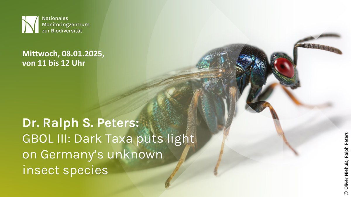 BfN_de's tweet photo. The diversity of our country’s insects is greater and more than is generally assumed. The presentation on Wednesday 11 a.m. gives an insight: https://t.co/QizuhNPHHL #insects #bfn #biodiversity #natureconservation #nationalesmonitoringzentrum #insectspecies #darktaxa #ecoystems https://t.co/9IHEyj3V4R