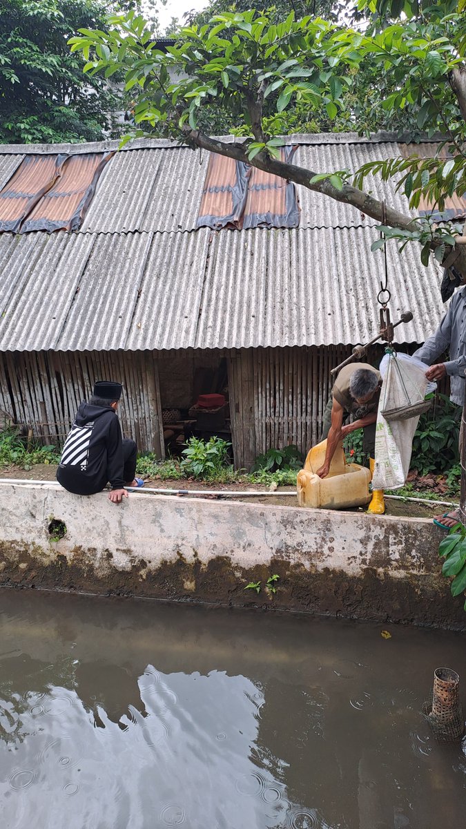 AgungDelly's tweet photo. Jumat ( 29 / 11 ) Delly Agung Rifansyah Luhkan Kabupaten Bogor, di Kelompok Family Fish Farm Desa Cibedug Kecamatan Ciawi , Kegiatan Monitoring Usaha Pembesaran ikan Nila dan membantu kegiatan akses pemasaran kelompok. #giatluhkansatmingkalbogor #Kabbogor #Aktivitas #Budidaya https://t.co/hY2f0Y2m2v