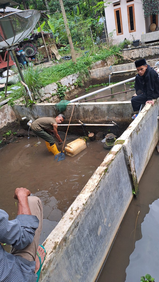 AgungDelly's tweet photo. Jumat ( 29 / 11 ) Delly Agung Rifansyah Luhkan Kabupaten Bogor, di Kelompok Family Fish Farm Desa Cibedug Kecamatan Ciawi , Kegiatan Monitoring Usaha Pembesaran ikan Nila dan membantu kegiatan akses pemasaran kelompok. #giatluhkansatmingkalbogor #Kabbogor #Aktivitas #Budidaya https://t.co/hY2f0Y2m2v