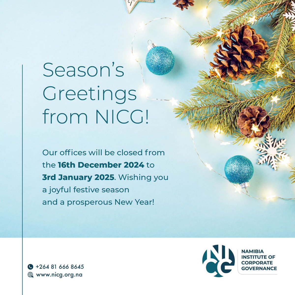 As we approach the end of 2024, we would like to express our heartfelt gratitude for your support and engagement with the NICG throughout the year.

Wishing you a joyful holiday season!