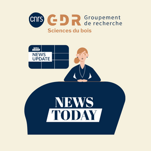 #news Announcement that applications for the new Evergreen Prize for Innovation, worth €300,000, are open until 15 December. eng-gdr-sciences-du-bois.hub.inrae.fr/news/evergreen…