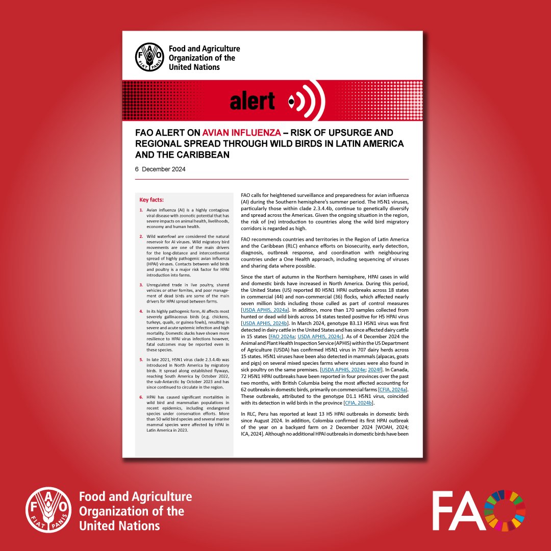 🚨 <a href="/FAO/">Food and Agriculture Organization</a> alert on avian influenza!

Risk of upsurge and regional spread through wild birds in Latin America and the Caribbean.

Countries and territories are called to increase prevention and preparedness activities to reduce the likelihood of outbreaks.

👉bit.ly/3D0GKi0