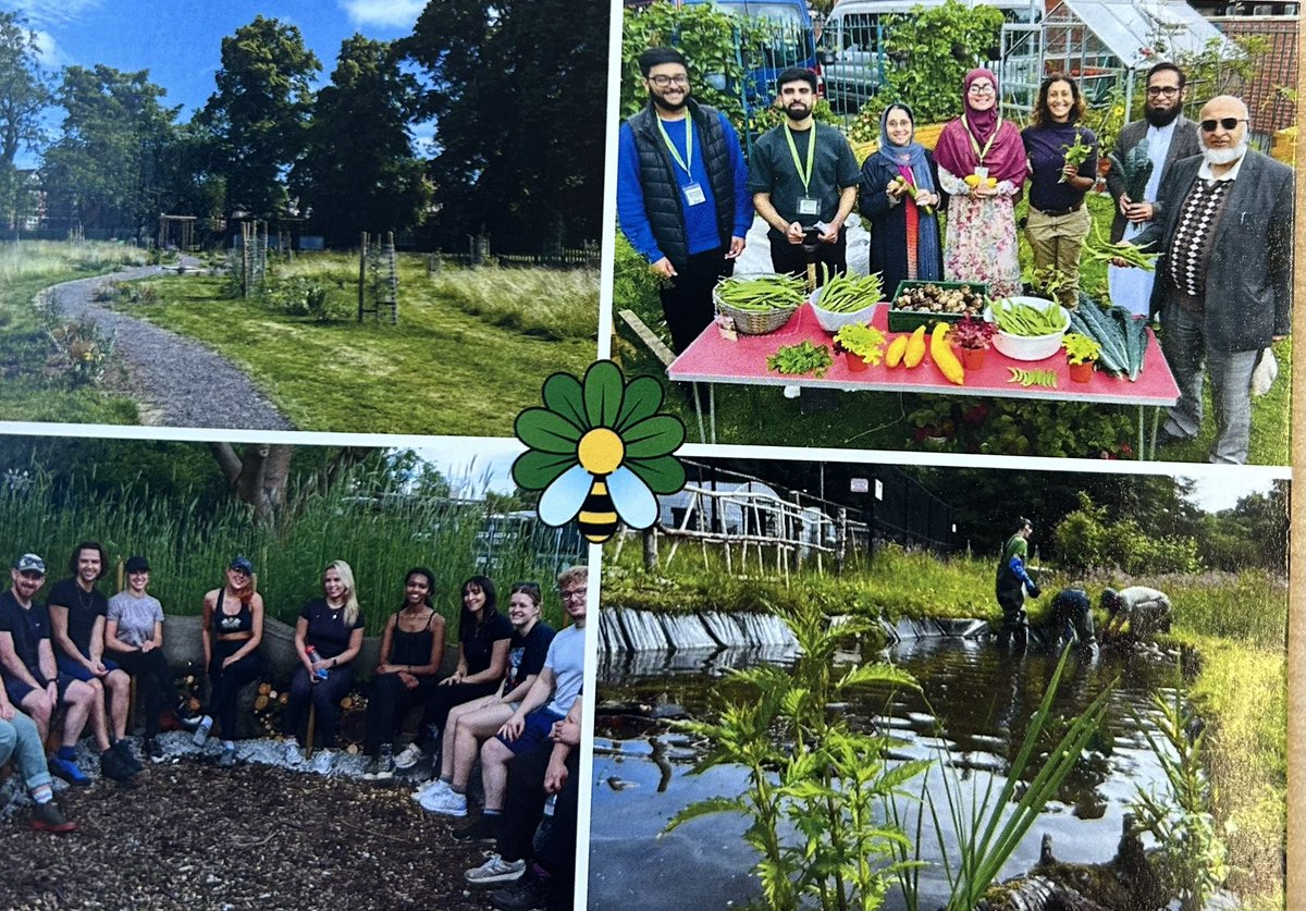 Deeplish C C tweet media