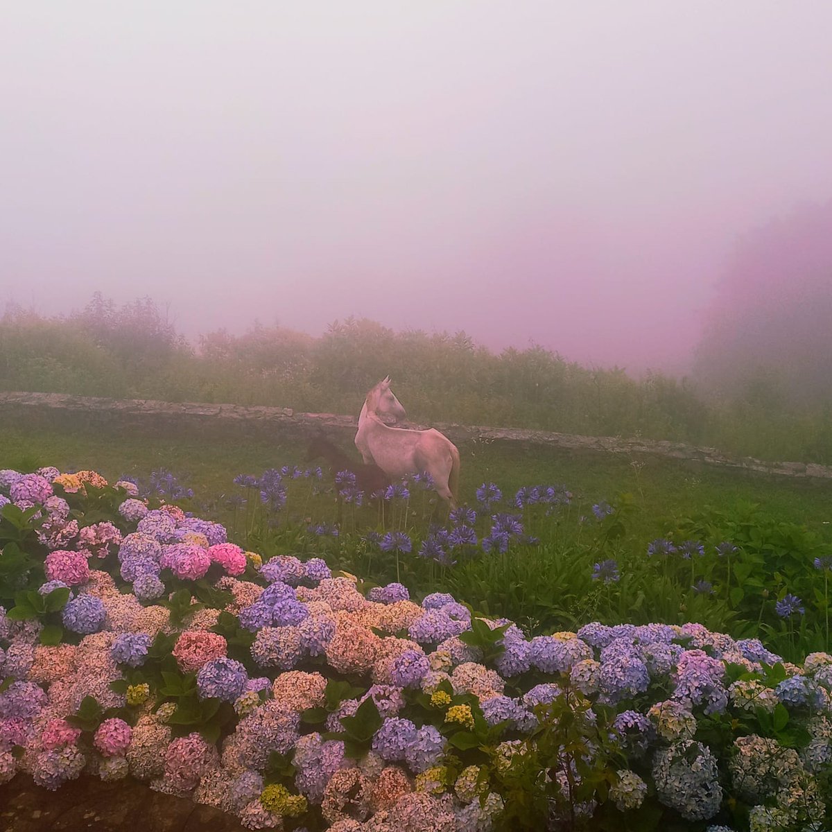 la montaña౨ৎ ౨ৎ