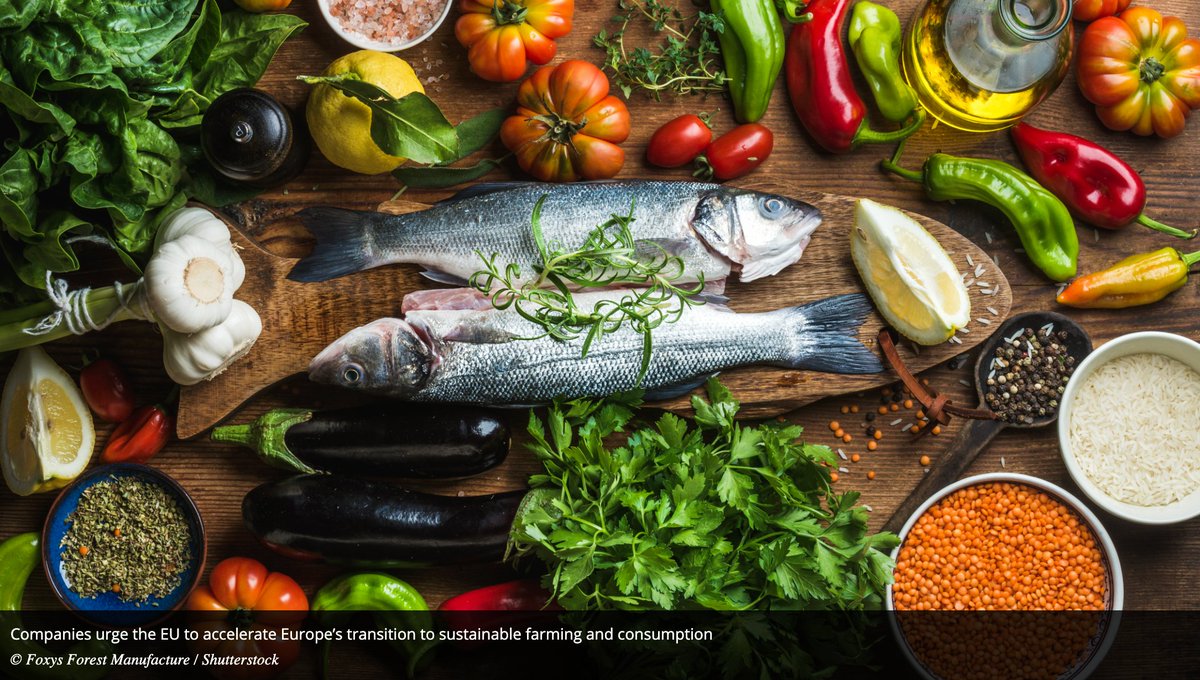WWF Partnerships ๐ค๐ฟ (@wwfpartnerships) on Twitter photo Large food companies are urging EU Agri #food Commissioner Christophe Hansen to accelerate Europeโs transition to #sustainable farming & consumption, and ensure long-term #competitiveness.
wwf.eu/wwf_news/mediaโฆ
<a href="/WWFEU/">WWF EU</a> <a href="/CHansenEU/">Christophe Hansen</a> <a href="/Danone/">Danone</a> <a href="/BelGroup/">Bel Group</a> <a href="/Unilever/">Unilever</a> <a href="/oatly/">Oatly</a> <a href="/mccainfoods/">McCain Foods Canada</a> Large food companies are urging EU Agri #food Commissioner Christophe Hansen to accelerate Europeโs transition to #sustainable farming & consumption, and ensure long-term #competitiveness.
wwf.eu/wwf_news/mediaโฆ
<a href="/WWFEU/">WWF EU</a> <a href="/CHansenEU/">Christophe Hansen</a> <a href="/Danone/">Danone</a> <a href="/BelGroup/">Bel Group</a> <a href="/Unilever/">Unilever</a> <a href="/oatly/">Oatly</a> <a href="/mccainfoods/">McCain Foods Canada</a>