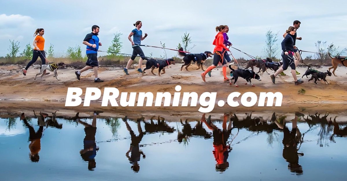 b_p_running's tweet image. Discover #Canicross! 🐾🏃‍♂ Run hands-free with your dog and enjoy the outdoors together. Perfect for all breeds and fitness levels! Learn more: bprunning.com/blogs/your-run….  #DogRunning #PetFitness #OutdoorAdventure #DogLovers #DogSports #ActivePets #FitFam #HealthyLiving