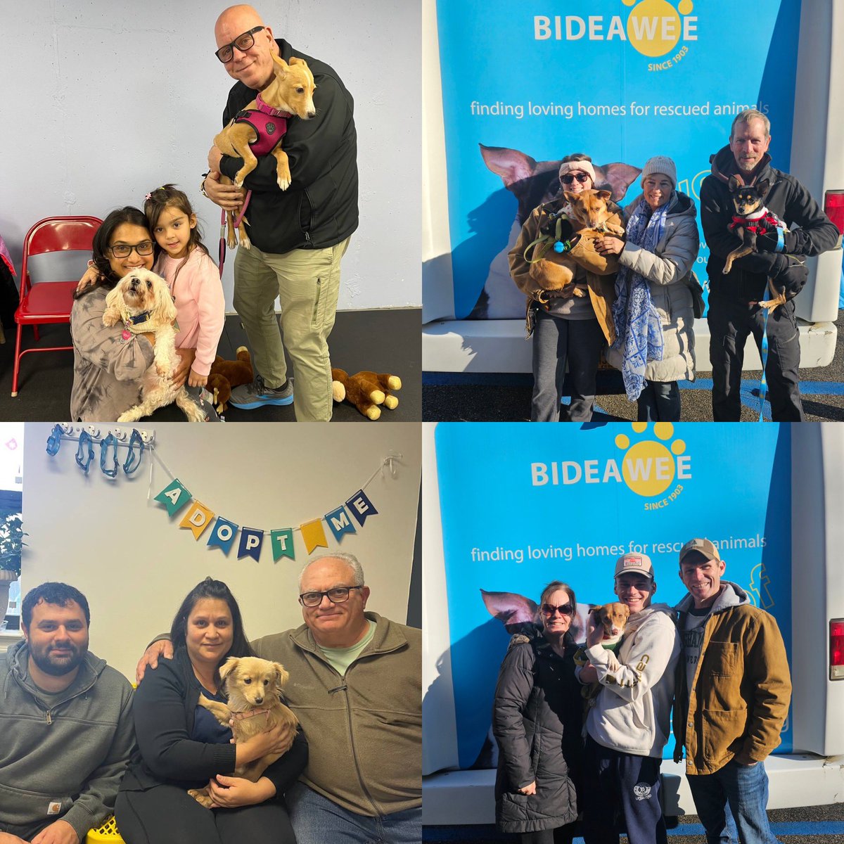 Congratulations to all these beautiful new families! ❤️Each one has something special to celebrate this holiday season, and you can too! Visit bideawee.org or visit our Manhattan or Westhampton locations Tuesdays-Sundays.