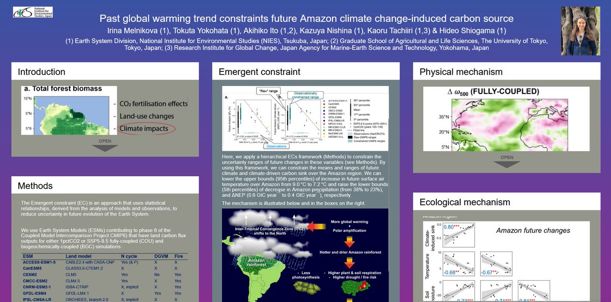 Attending #AGU2024 online this year. But if you want to learn more about constraining future Amazon C cycle response to climate change, check out my virtual poster "Past global warming trend constraints future Amazon climate change-induced carbon source"