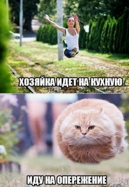 Rozenn Butrimovich tweet media