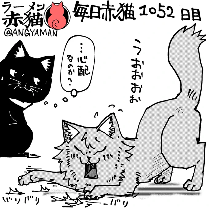 自信あるんじゃなかったのか?
#ラーメン赤猫 #ジャンププラス
127杯目 https://t.co/nLXMWvC5ax 