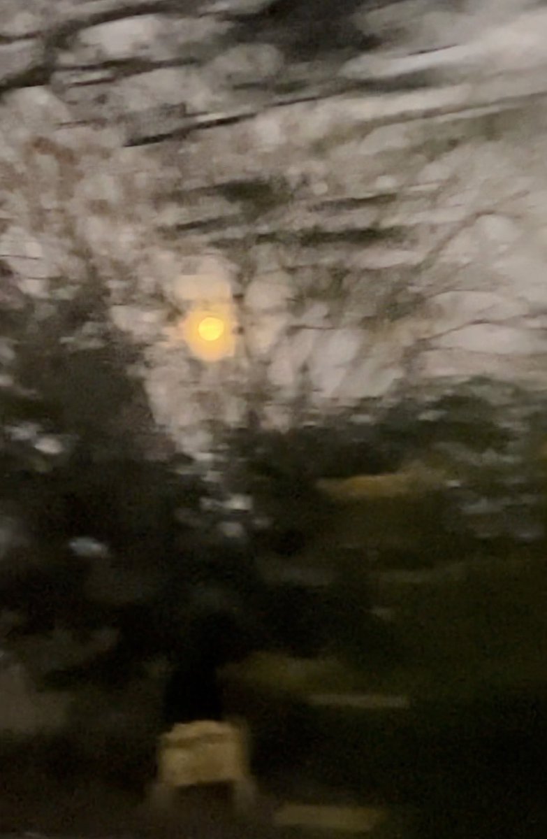 𝒿𝒾𝓃𝓃𝒾ℯ 🍮 IA tweet media