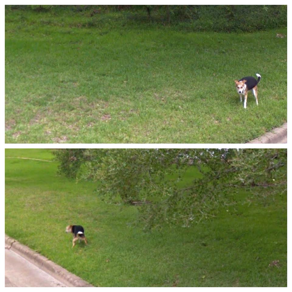 Jay Socol tweet media