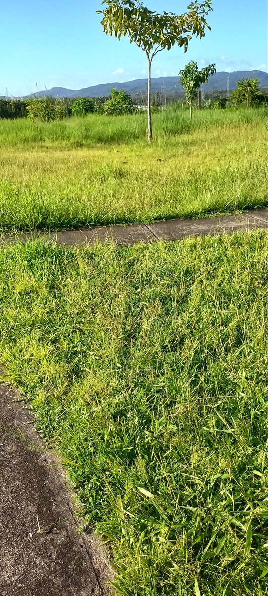 Mrs Lawyer tweet media