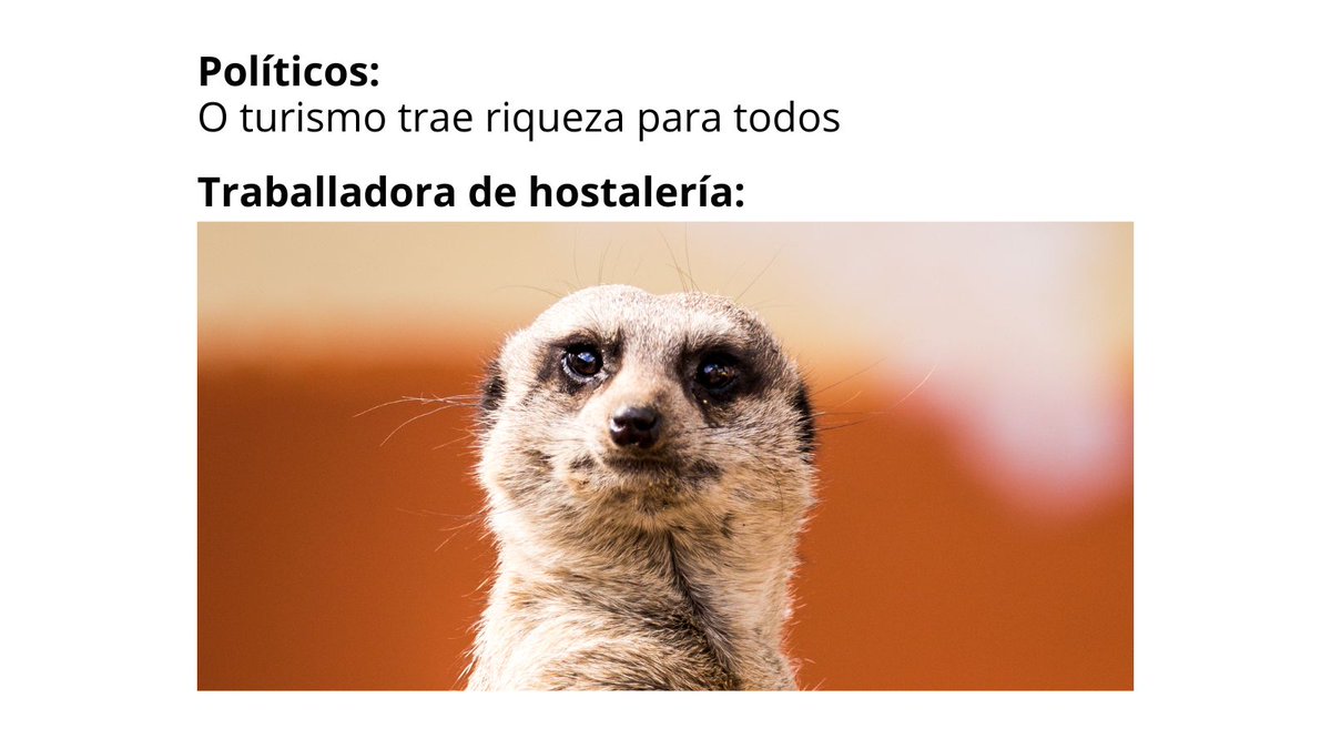 Problemas de vivenda, emprego, servizos públicos, medioambiente, mobilidade… pola masificación turística. Razóns sobran para saír á rúa! Vémonos o 13/12 ás 20h na Farola de Urzáiz! #NonTuristificacionVigoMorrazo #VigoMorrazoParaVivir #CiudadesyPueblosParaVivir