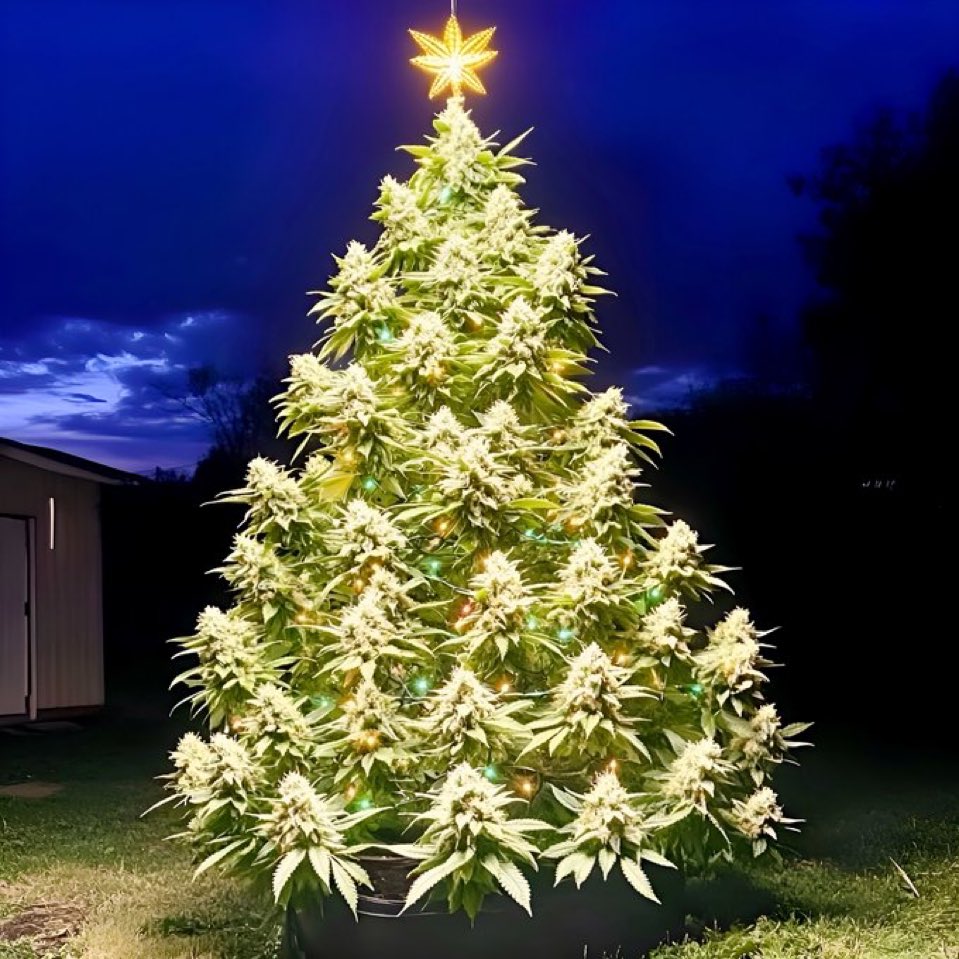 Omari Watson (@marz_one) on Twitter photo 