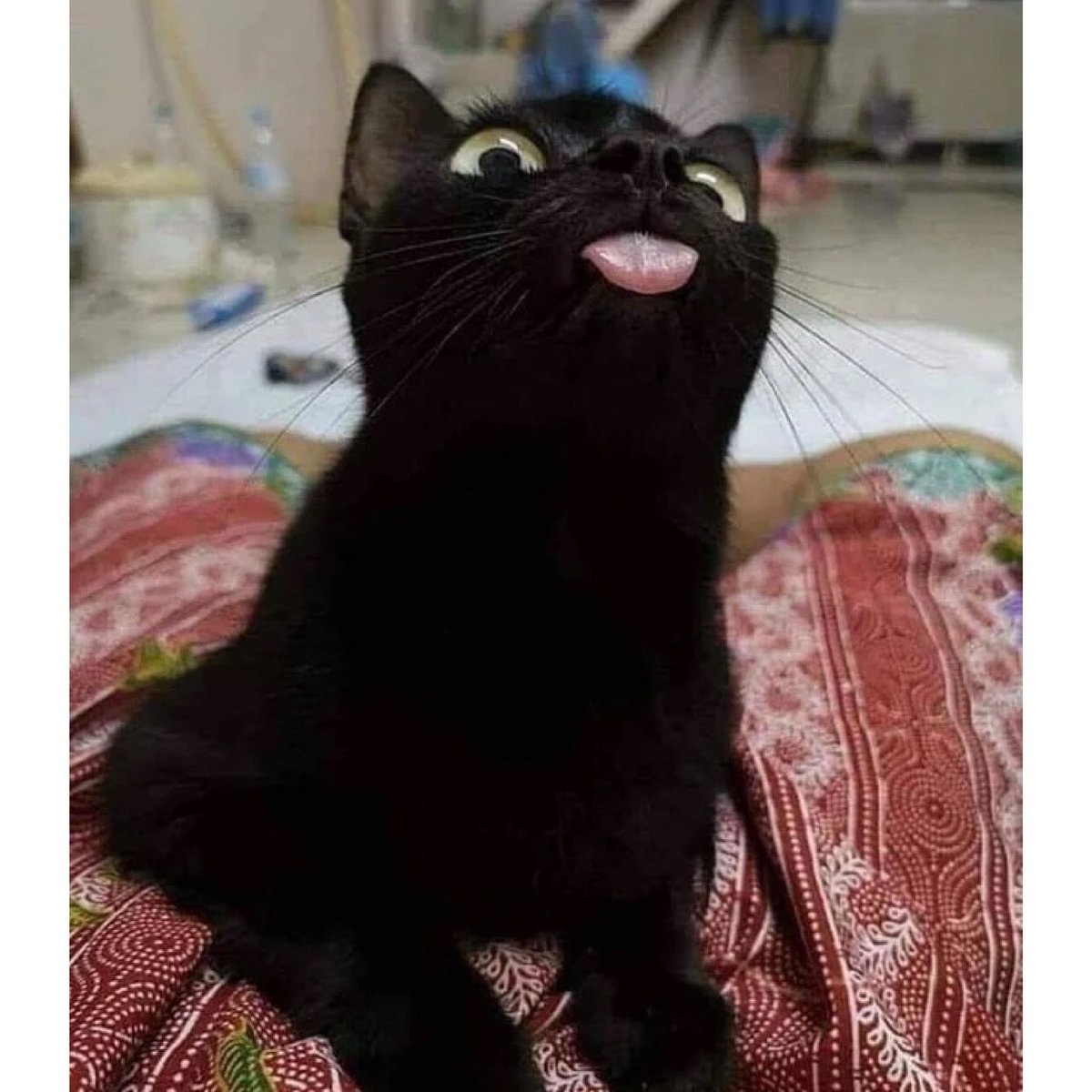 pppphhhhhbbbtbtbtbbtbt