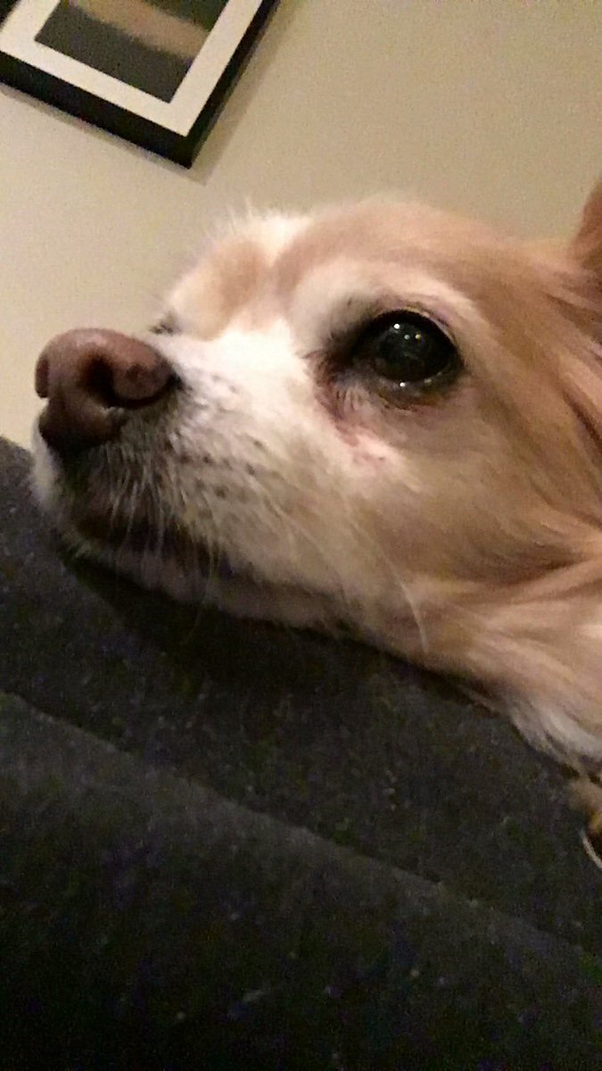 👋 hi! Also hi from Erik.