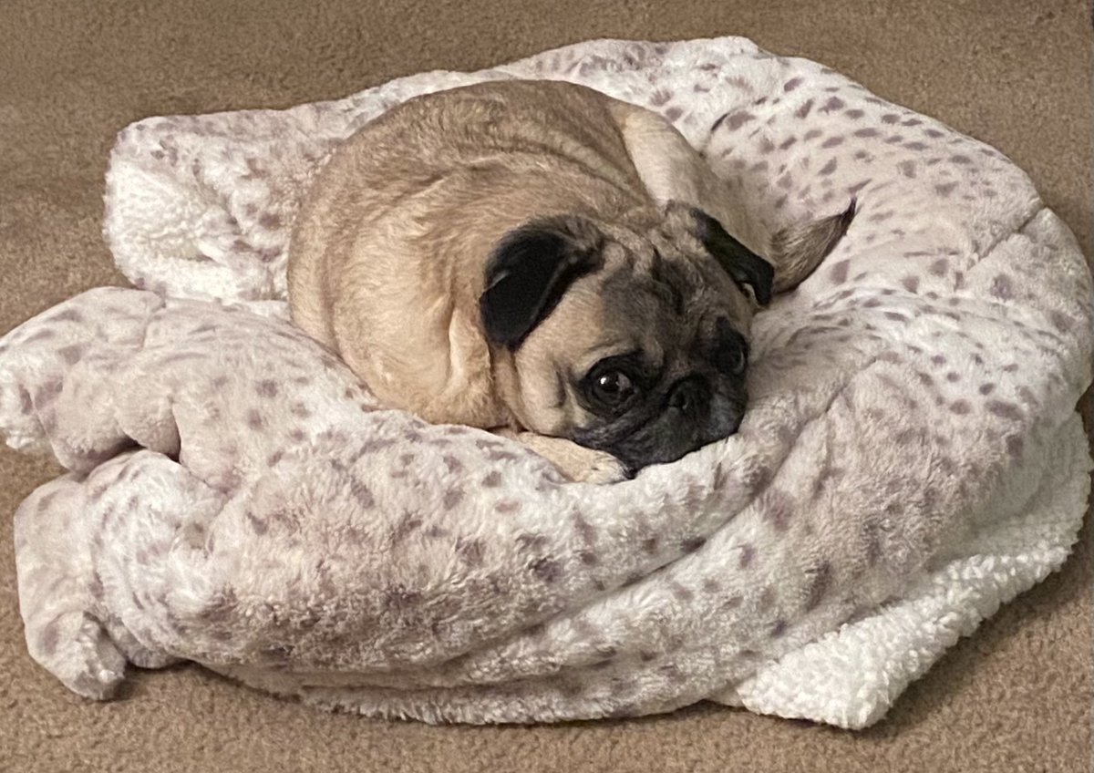 polterzeitgeist tweet media