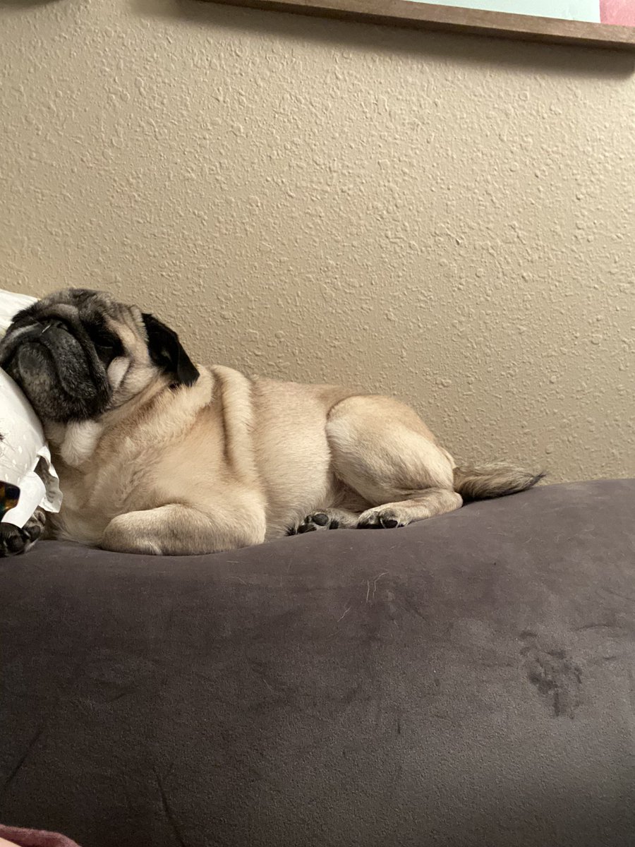 polterzeitgeist tweet media