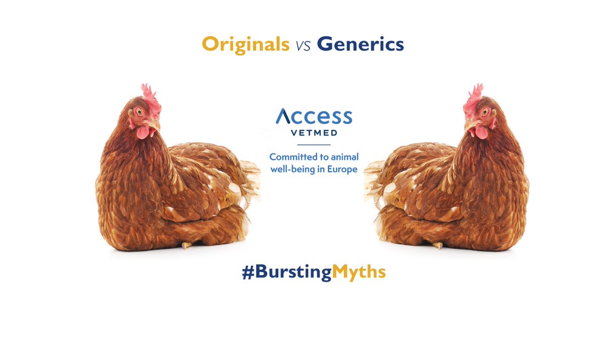 AccessVetMed tweet media