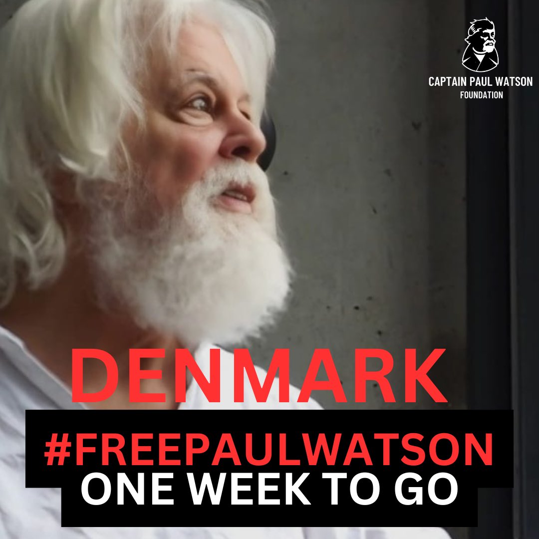 Captain Paul Watson Foundation 🐋🏴‍☠️ tweet media