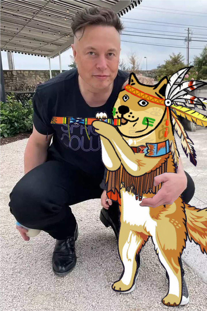 JUNGLEdoge🪶 tweet media