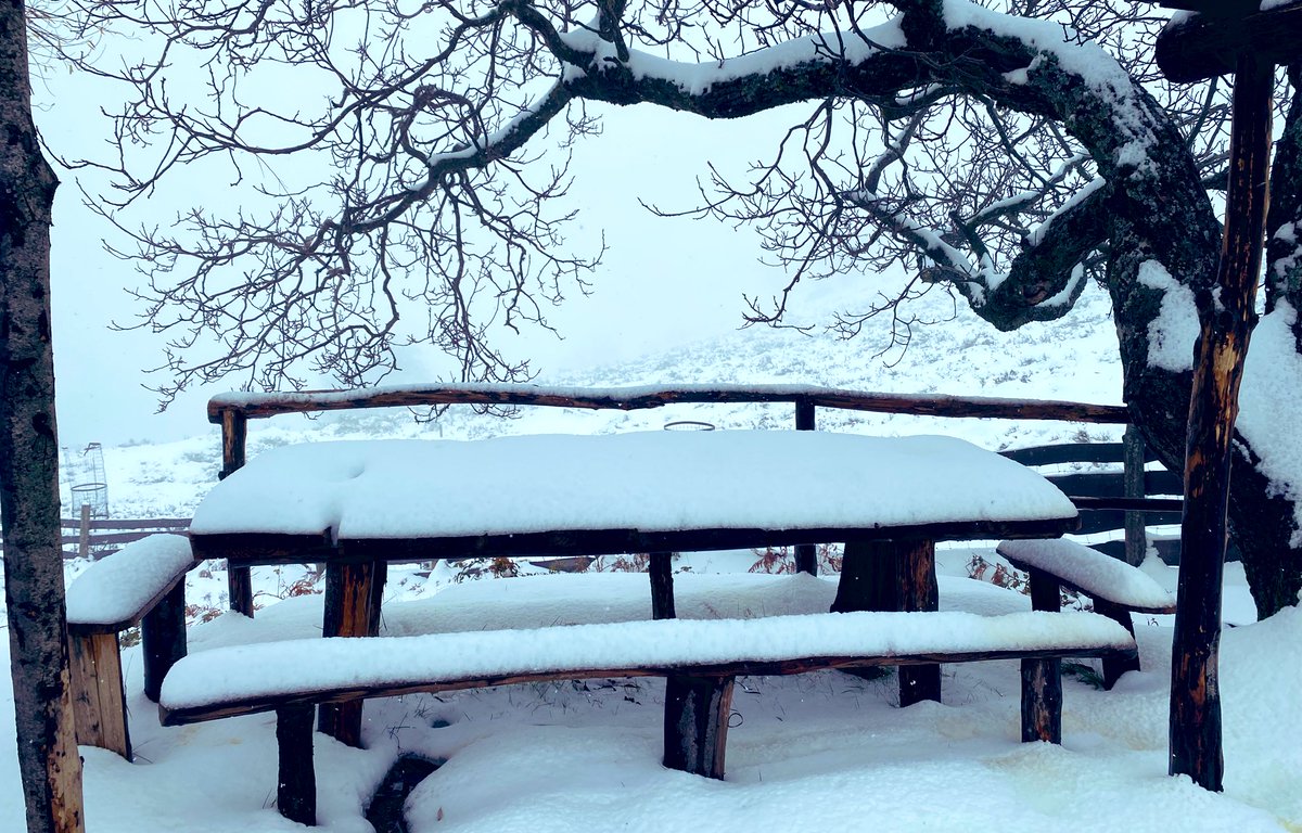 MartinoDesulo's tweet photo. Saluti da #Desulo ❄️❄️❄️
@fralittera @Il_Billa @torelai71 @florabarral @MarianoCasula https://t.co/H84Kt6Y94t