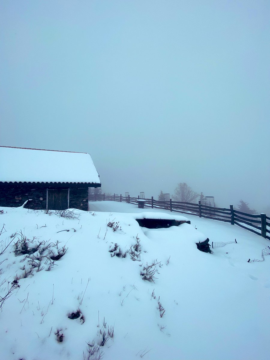 MartinoDesulo's tweet photo. Saluti da #Desulo ❄️❄️❄️
@fralittera @Il_Billa @torelai71 @florabarral @MarianoCasula https://t.co/H84Kt6Y94t