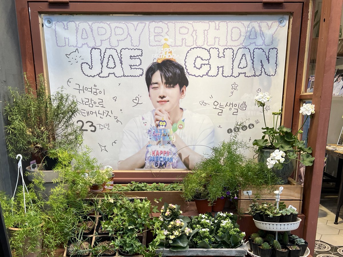 꿈냥🐱 tweet media