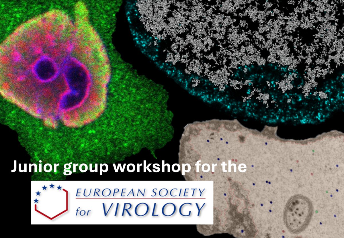 CBM_CSIC_UAM's tweet photo. ¡Anunciamos el primer Junior Group Workshop de la Sociedad Europea de Virología!

🗓️13-14/2/2025 
🏢 Centro de Biología Molecular Severo Ochoa, Madrid 
🎯 Para predocs y postdocs 
📩Plazo abstracts: 20 enero (¡plazas limitadas!)

Más info y programa👇
https://t.co/P0o6BFk5sd https://t.co/JEakNyD2sU
