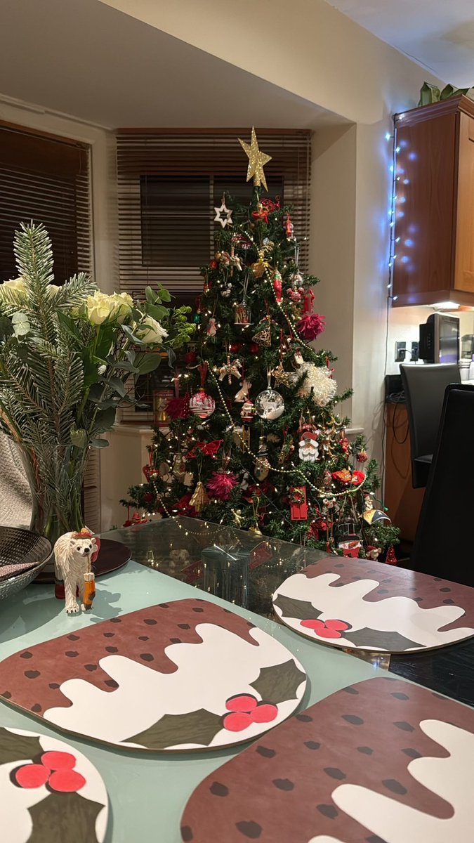 CHRISTMAAASSSS!!!!! 🤩🌟🐻‍❄️🎄✨❄️🛷🎅🧁🥹