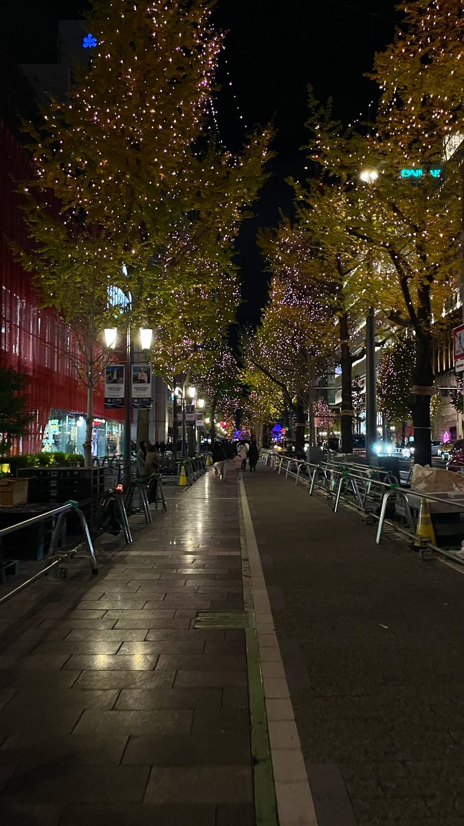 December in Japan 🎄✨