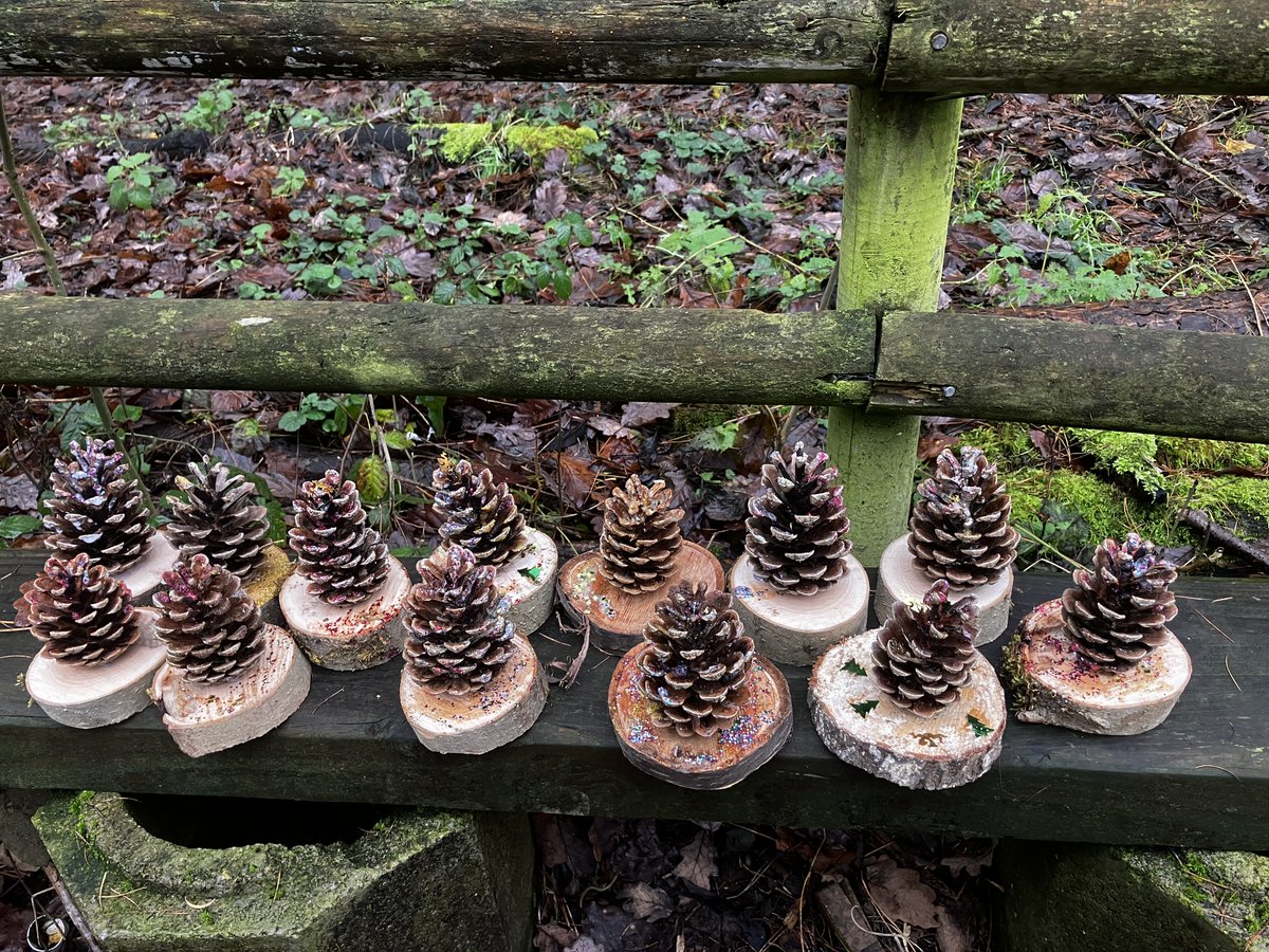 RoslistonEnvEd's tweet image. Look at these super cute mini Christmas trees the Saplings made last week..
Join Saplings Preschool Weds 11th Dec 10.30-11.30am for fun in our wood & play in our sheltered area.
£6 per child. Discounts for siblings & childminders
More info: rosliston@southderbyshire.gov.uk
