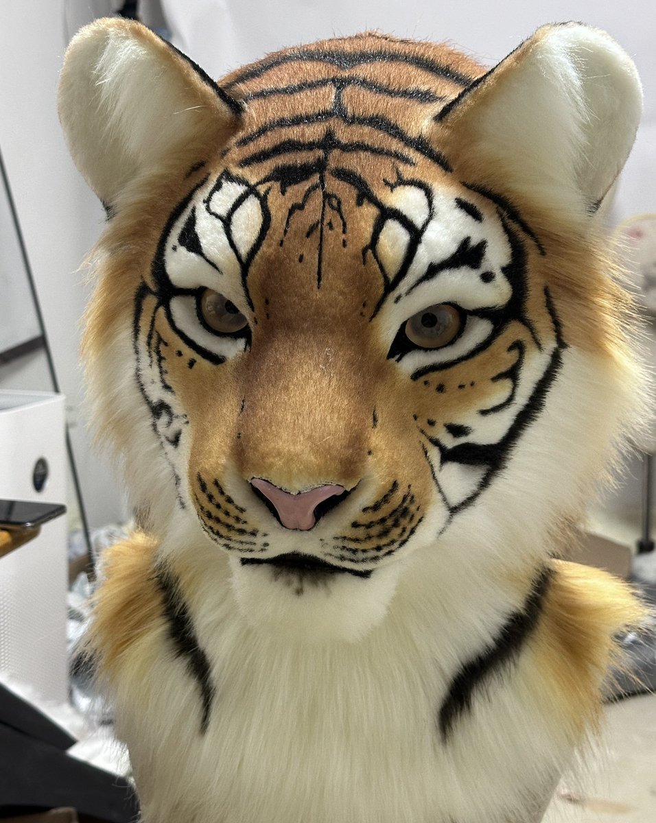 🐯快做完了，还要种胡须
#furry #fursuit #fursuitmaker #太阁工作室