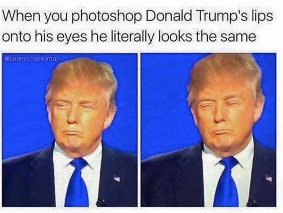 He is the best thing ever happend to USA.
 #Memes #political #Trump