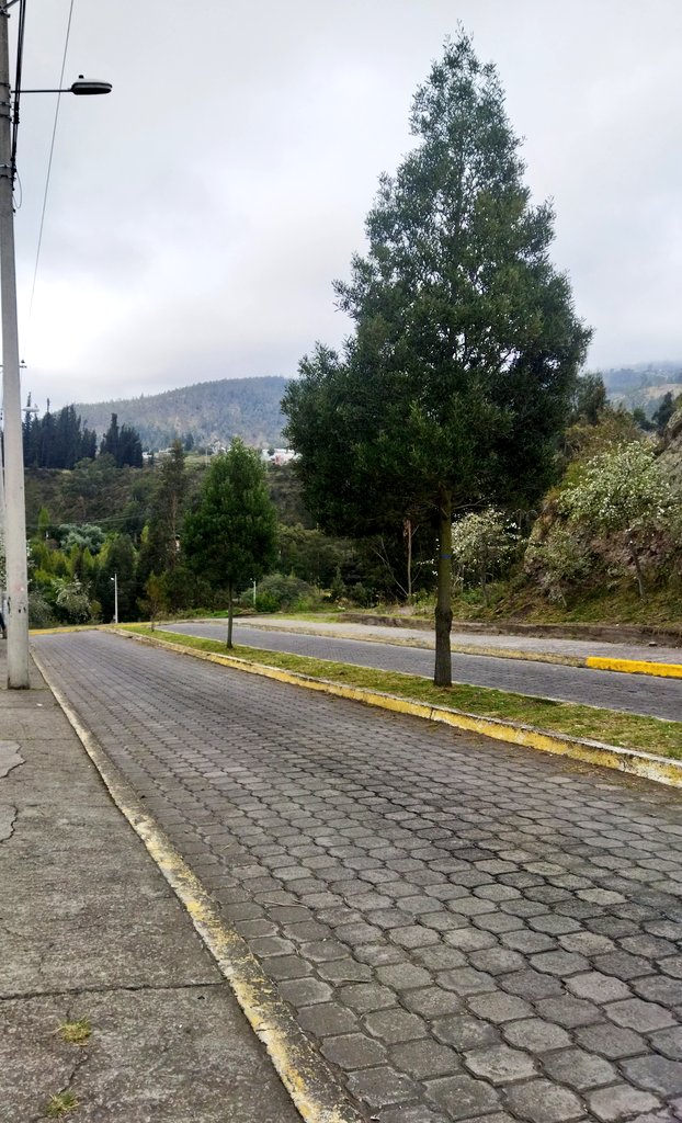 PostingGuano's tweet photo. Quien por aquí https://t.co/RqEhElHZZa