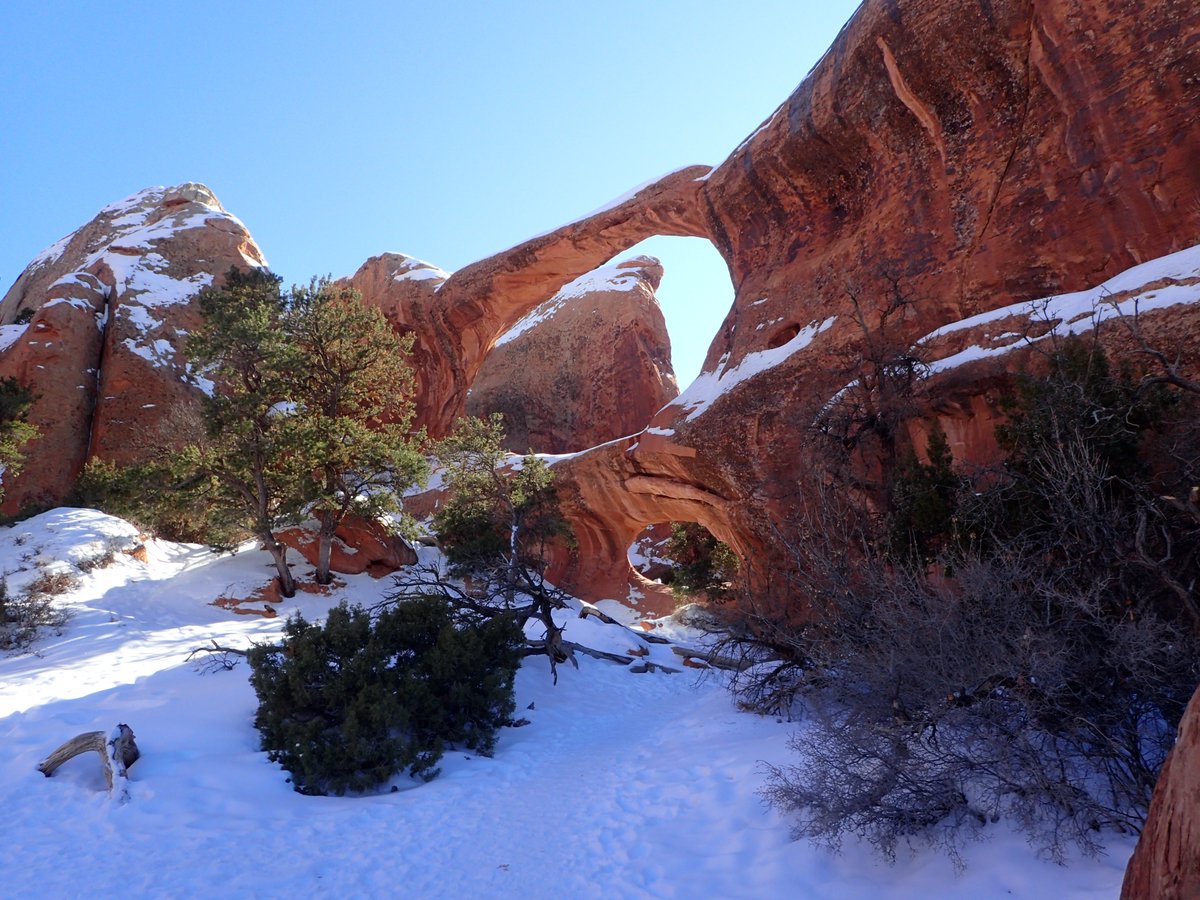 Backmandy tweet media