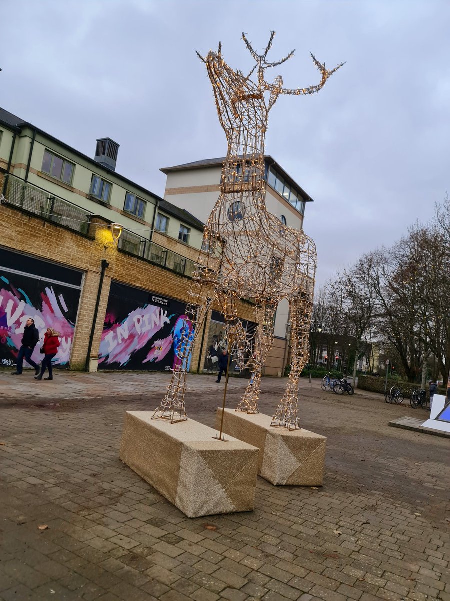 Mathew Shaer tweet media