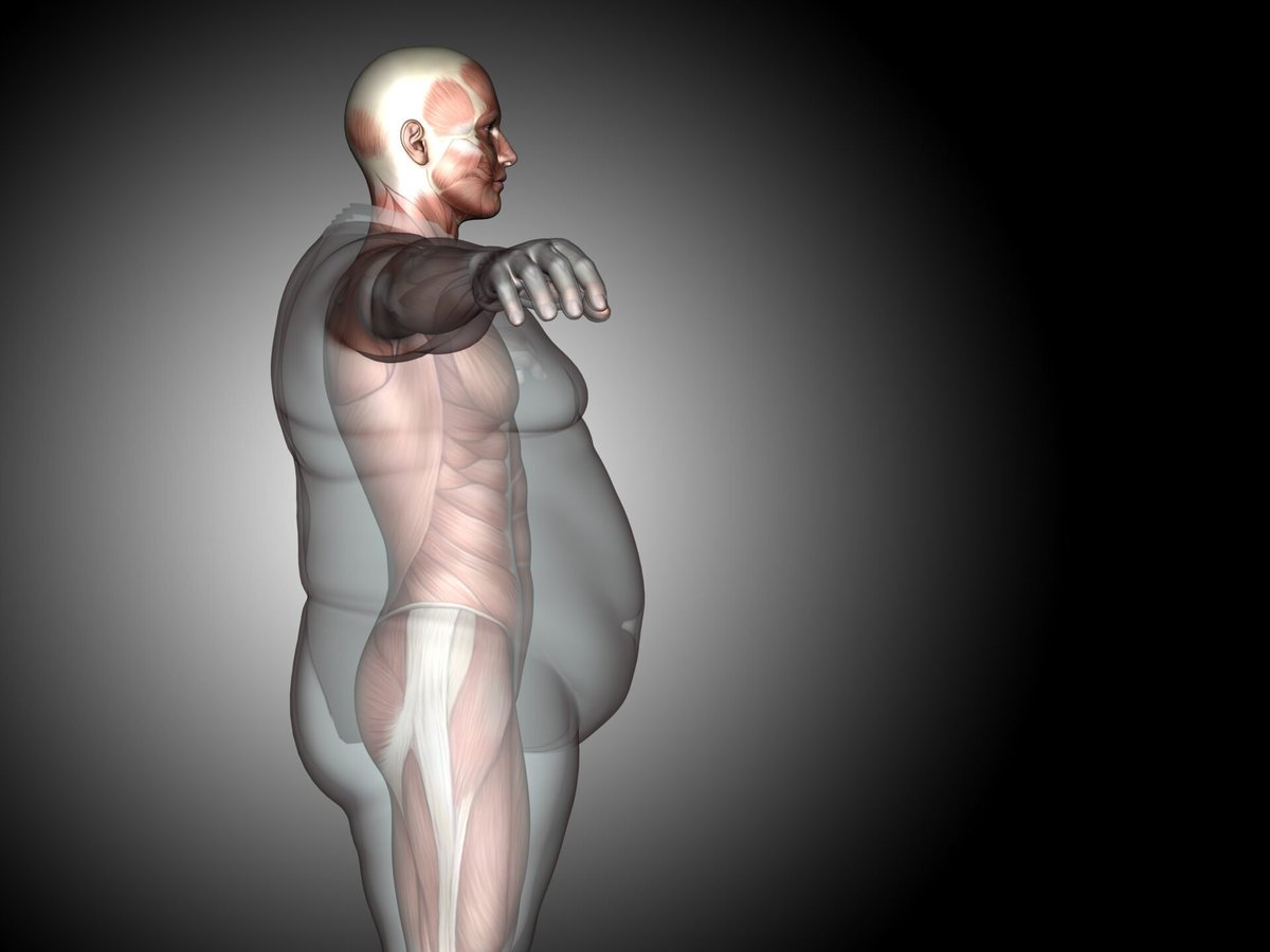 After spending $57,383 exercise science degree...

Here are 16 lessons I've learned that will help you burn fat &amp; build muscle:

1. You don't crave junk food - you lack emotional control…