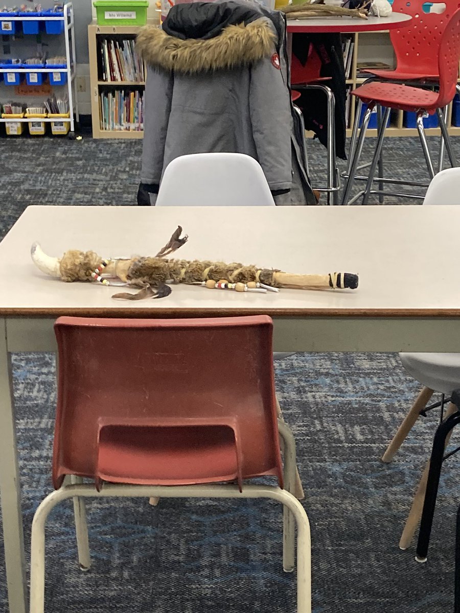 Owls class tweet media