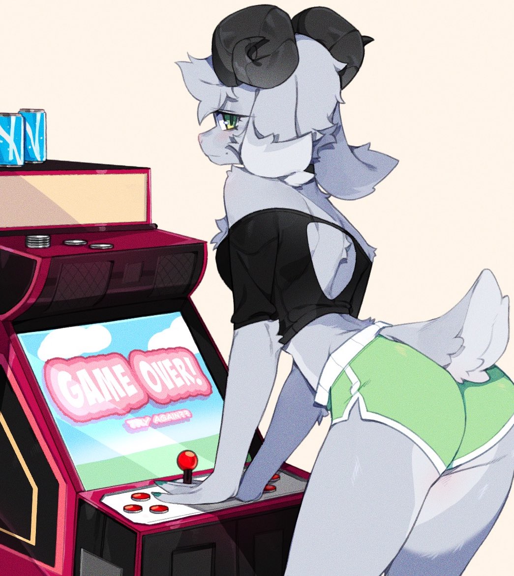 Punipaws's tweet photo. https://t.co/onwf6hyHx8