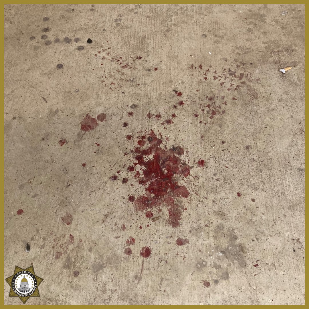 Sacramento Sheriff tweet media