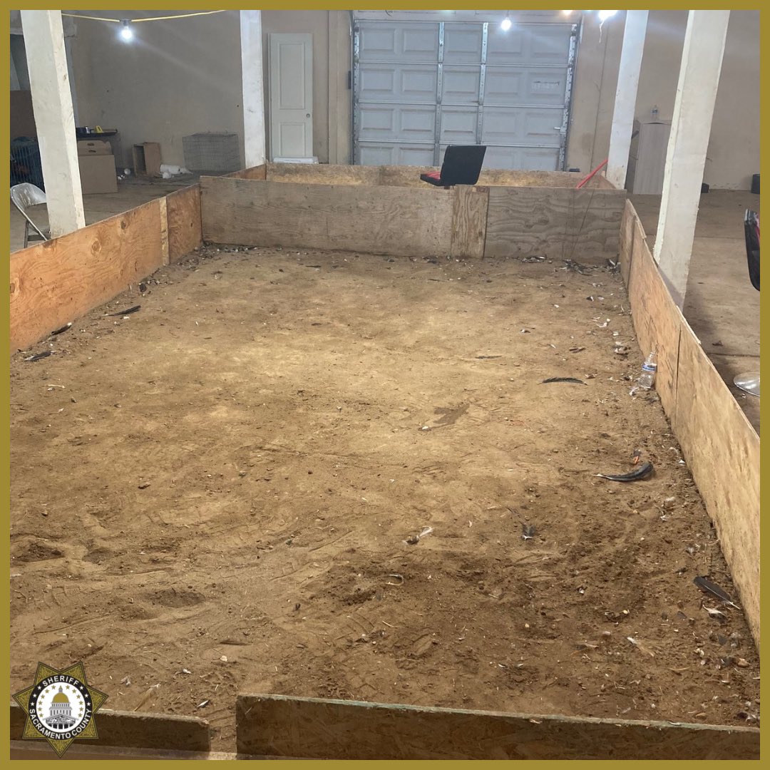 Sacramento Sheriff tweet media