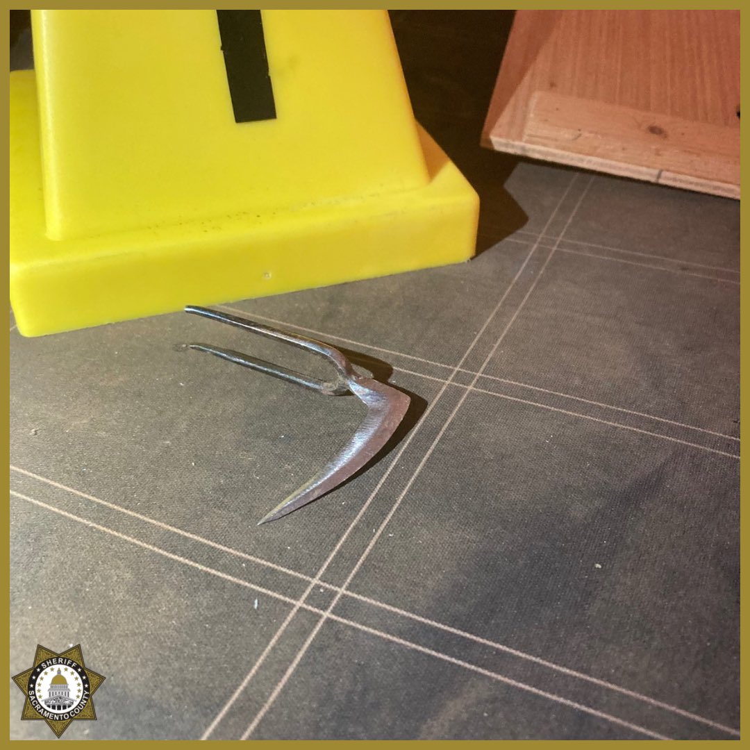 Sacramento Sheriff tweet media