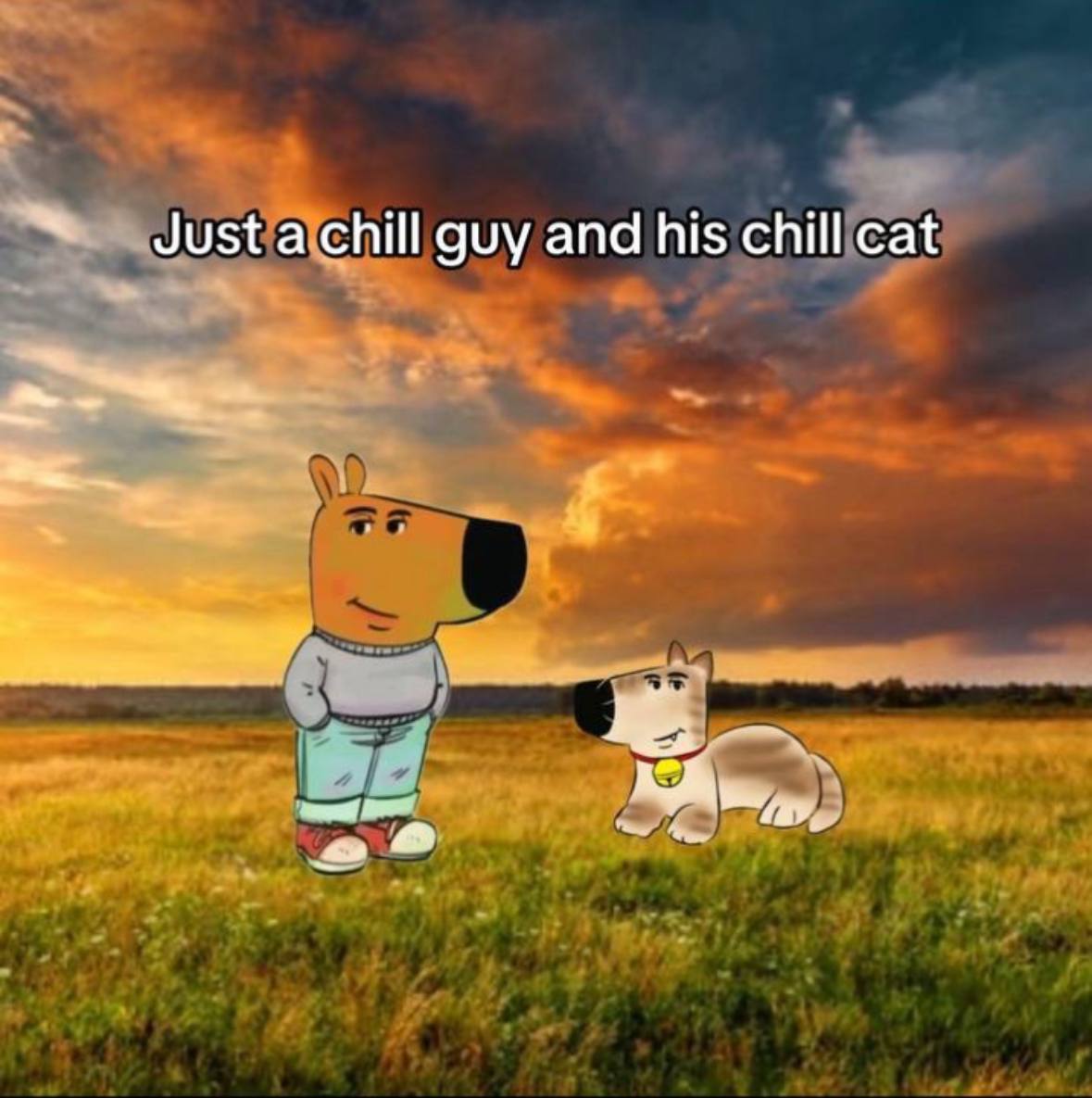 ChillCatX's tweet photo. @shahh $CHILLCAT is #chillguys little pet. He is the cutest and chillest cat in the crypto space, just look at that face, so cute!

Chill cat is already getting recognition on tik tok and has a very active and vibrant community on telegram with a good narrative. https://t.co/hAhXz3NKRi